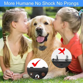 No Shock Vibration Collar 4
