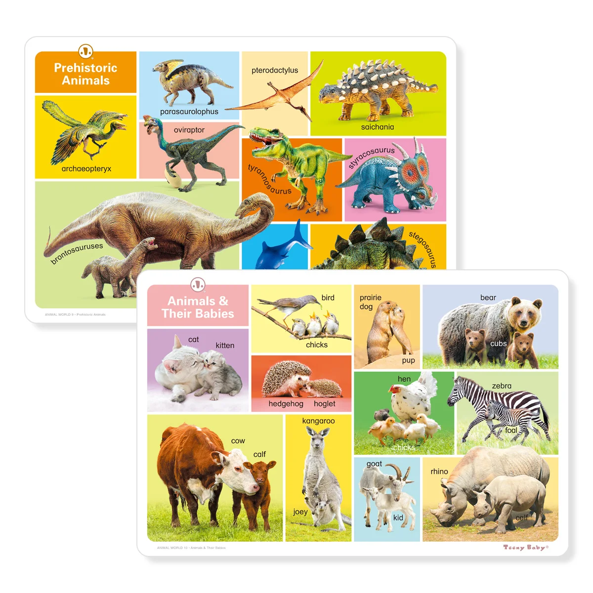 1 Set of 12 English Children's Animal Poster Chart Oversize Recognize Animals Cognitive Enhancement Enlightenment Gift