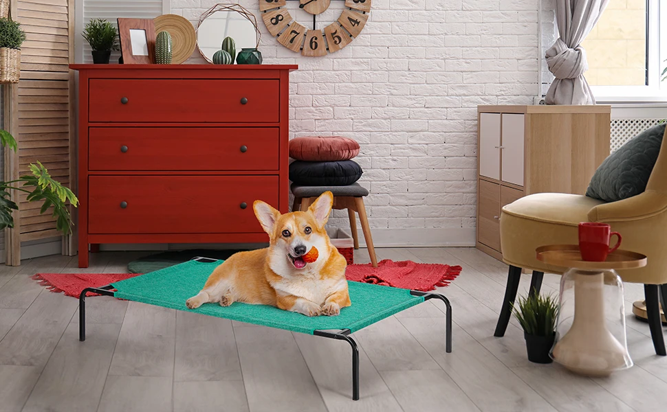 Dog Bed Elevated Dog Bed Cooling Raised Dog Cot Indoor & Outdoor Waterproof Dog Cat Bed