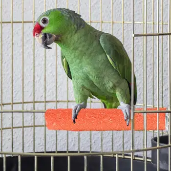 Bird Standing Stick Parrot claw grinding stick Bird cage Frosted perch Stand for beak sharpening Cockatiels Budgies grinding toy