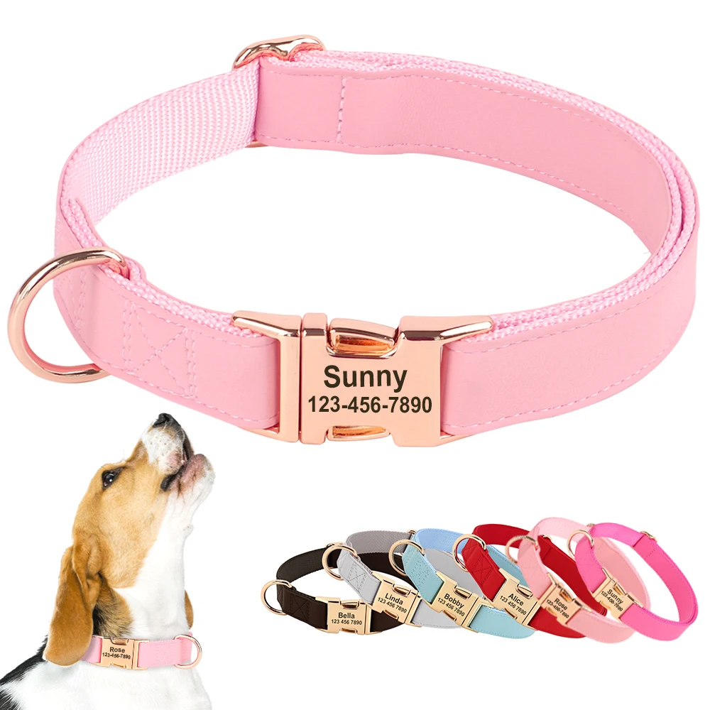 Martingale Dog Collar, Adjustable for Small, Medium, Large pet and