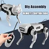 Diy Assembling Rc Robot Bionic Remote Control Mechanical Dog Stem Teaching puzzle Kit Electric Plastic Model Set Children Gift 1