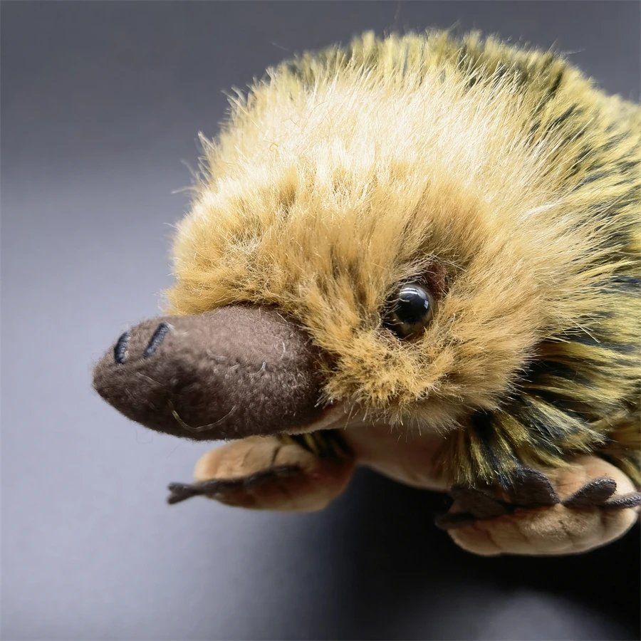 Echidna High Fidelity Anime Cute Mole Plushie Spiny Anteater Plush Toys Lifelike Animals Simulation Stuffed Doll Kawai Toy Gifts 4