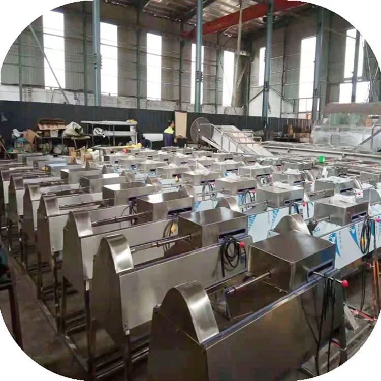Satisfaction Guarantee Industrial Stainless Steel Electric Orange Lemon Fruit Peeling Machine Orange Skin Peeler 6