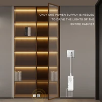 Smart Door Sensor Control 12V COB LED Strip Under Cabinet Lights Closet Wardrobe,Wine Cabinet Double Door Home Decor Lighting - Image 6