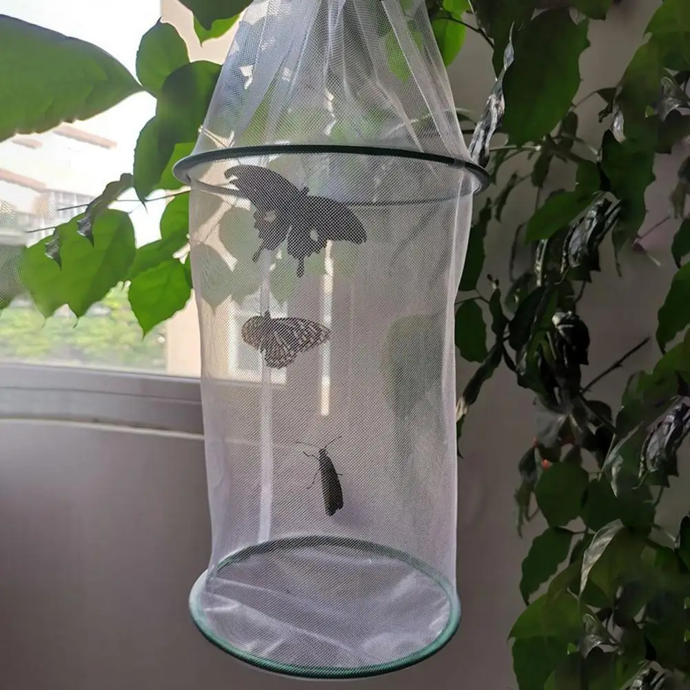 Cage à Papillon Portable 30x30x30cm - Habitat Insectes Transparent, Pliable, Avec Fermeture éclair