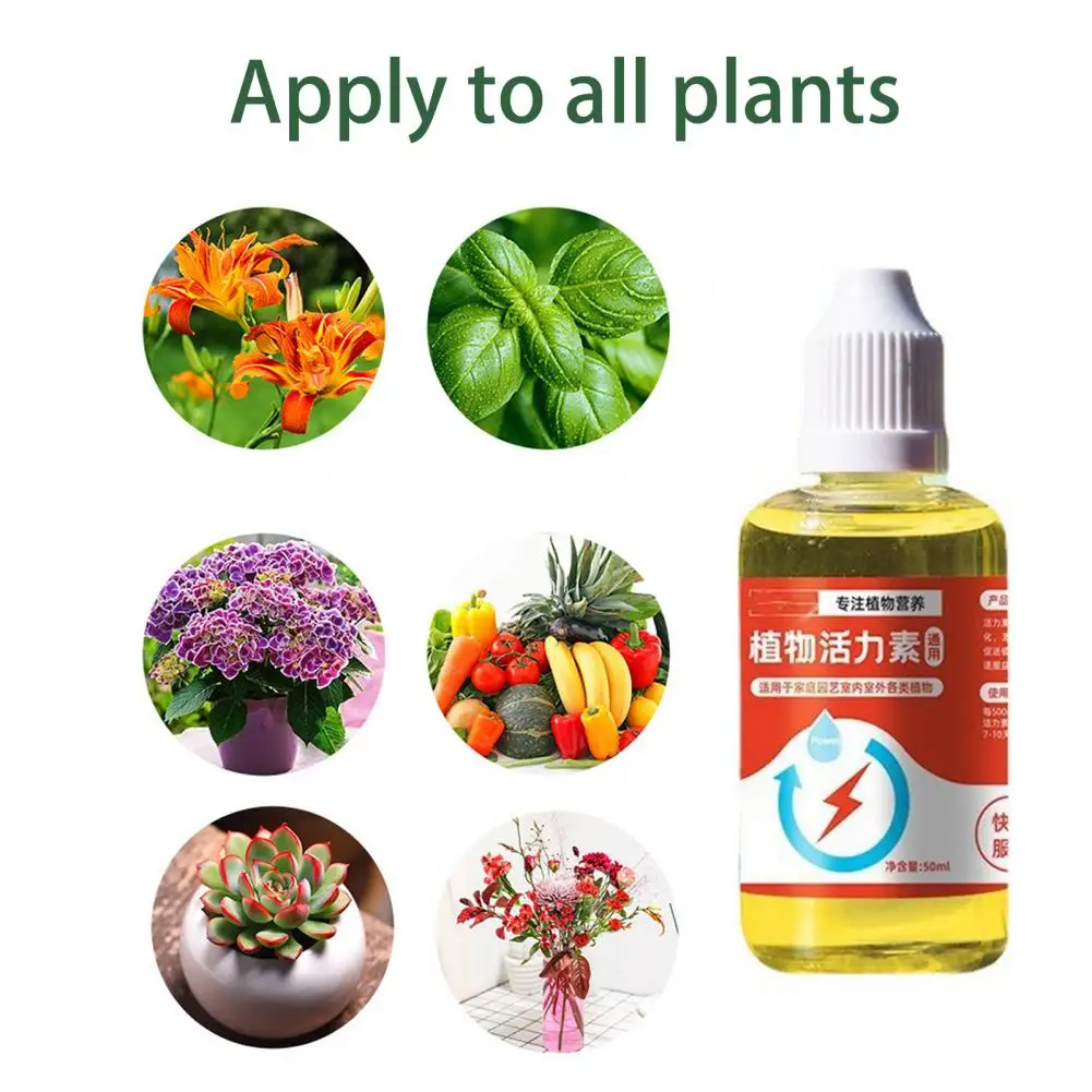 Plant fertilizing concentrate Rapid Flowering Full of Vitality Growth Decay Alleviation Plant Nutrient Balcony Supply