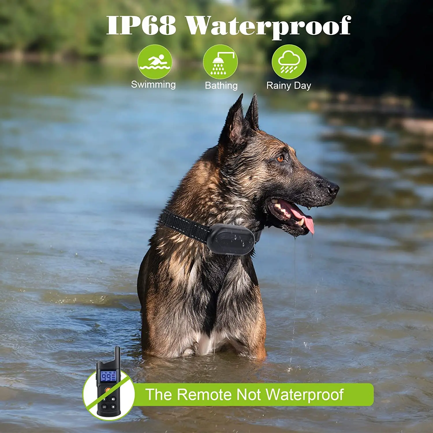 A Belgian Malinois wears the training collar while standing in a river. Three icons indicate the receiver is IP68 waterproof, suitable for swimming, bathing, and rainy days. A small warning at the bottom notes that the remote control itself is not waterproof.