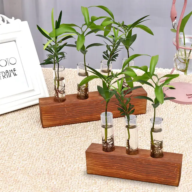 Növényüveg -Kémcső - Terrariumok Váza Faállványban | Virágcserépek Hidroponikus Növényekhez Asztali Dekoráció Kese Csőállomás 3 - Image 4