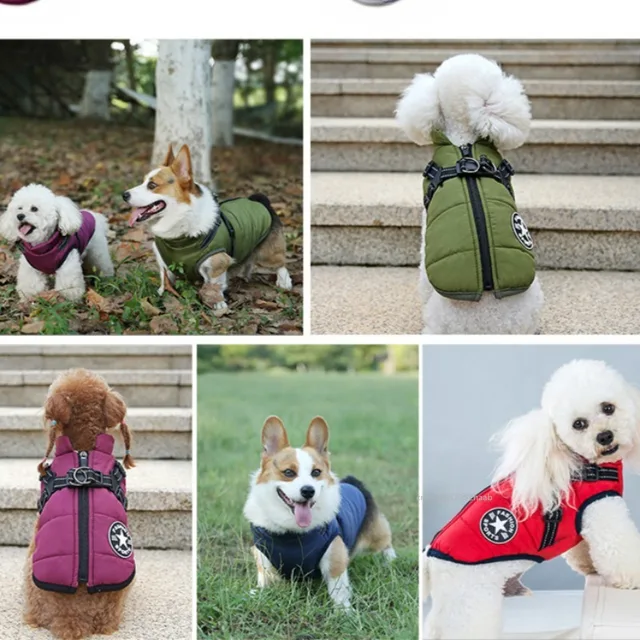 Winter Warm Pet Dog Jacket with Harness Waterproof Dog Coat Vest for Small Medium Chihuahua French Bulldog Outdoor Dog Clothes 6
