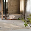 French Retro Living Room Decoration Carpet Light Luxury Rugs for Bedroom Home Study Washable Floor Mat Fluffy Soft Bedside Rug 4