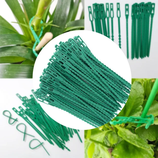 25/50/100Pcs Reusable Garden Cable Ties Adjustable Plastic Cable Ties Tools Plant Support Shrubs Fastener Tree Locking Nylon 2