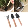Garden Planter tool Kits DIY flower pot plant nursery Potted tray Shovel Rake for Bonsai Succulents Transplant Seedling sowing 4