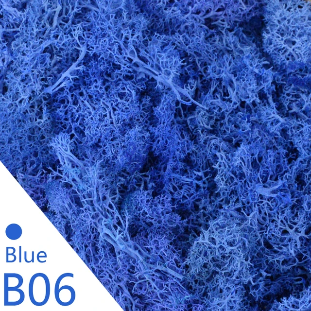 B06
