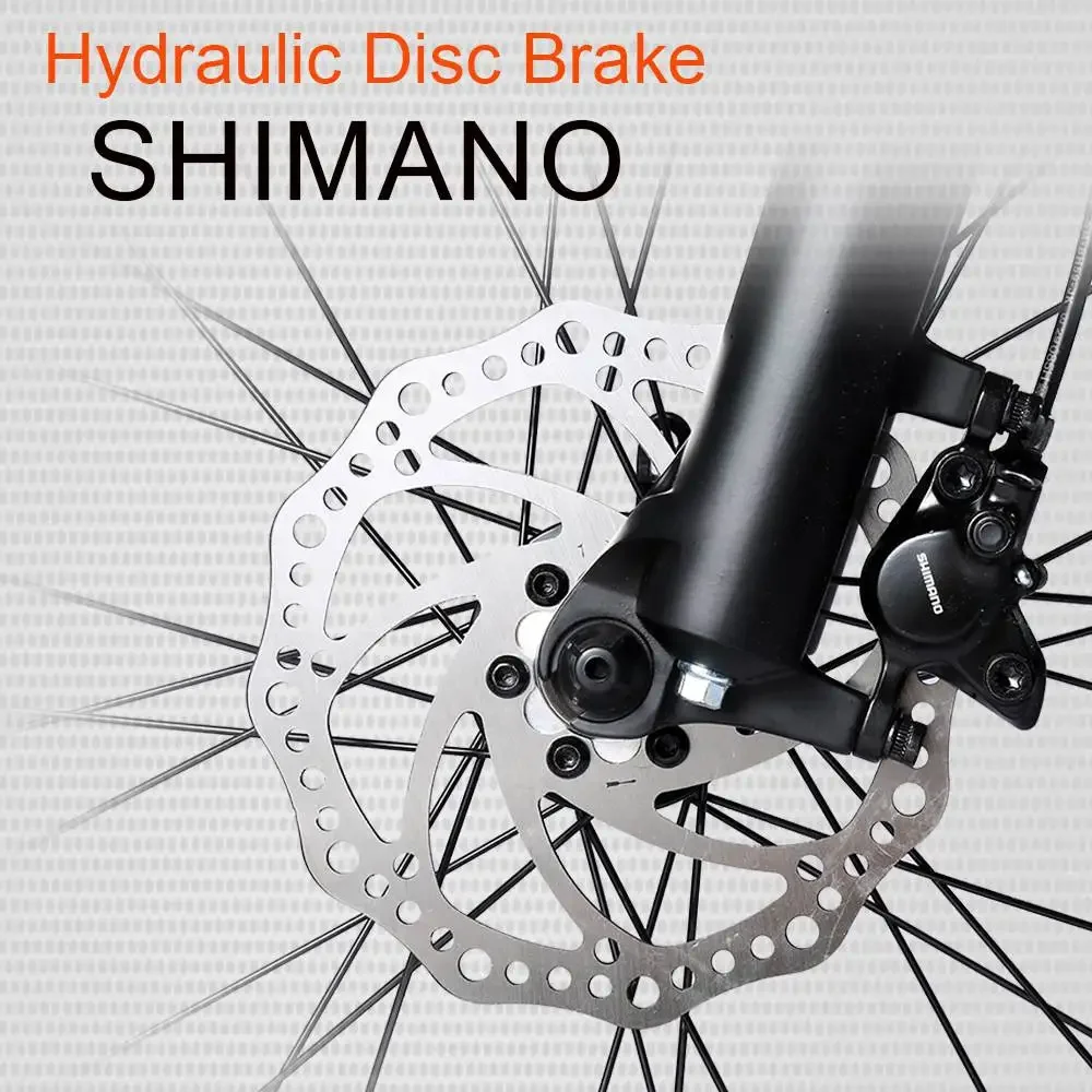 Electric bike randrid YG90A gray electric MTV 48V 1000W motor 17Ah battery hydraulic brakes