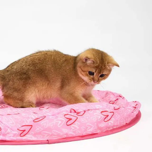Hide Hunting Hood Cat Toy, Guitar Cat Toy, Simulated Interactive Hunting Toy 2