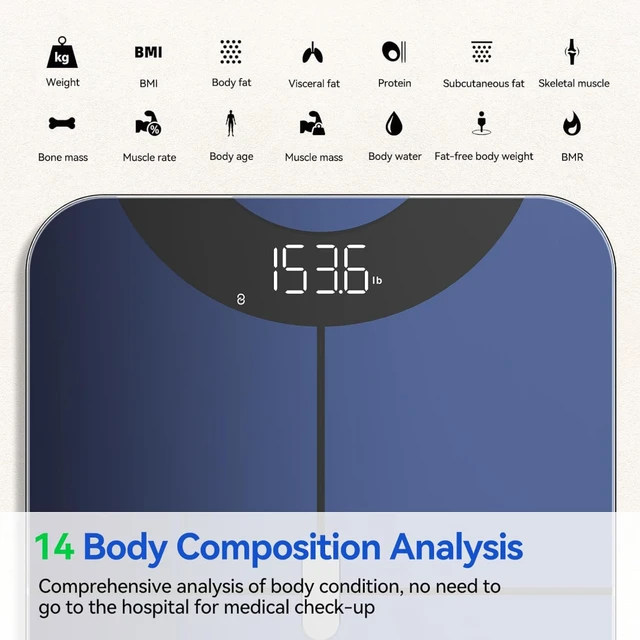 anyloop Smart Scale for Body Weight and Fat Percentage, Accurate