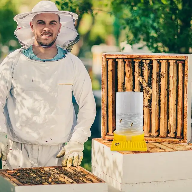 Méh Adagoló Méhészet Mézelő Adagolók Ivóvíz Doboz Tiszta Átlátszó Műanyag Italkészítő Szerszám Etetési Kellékek - Image 2