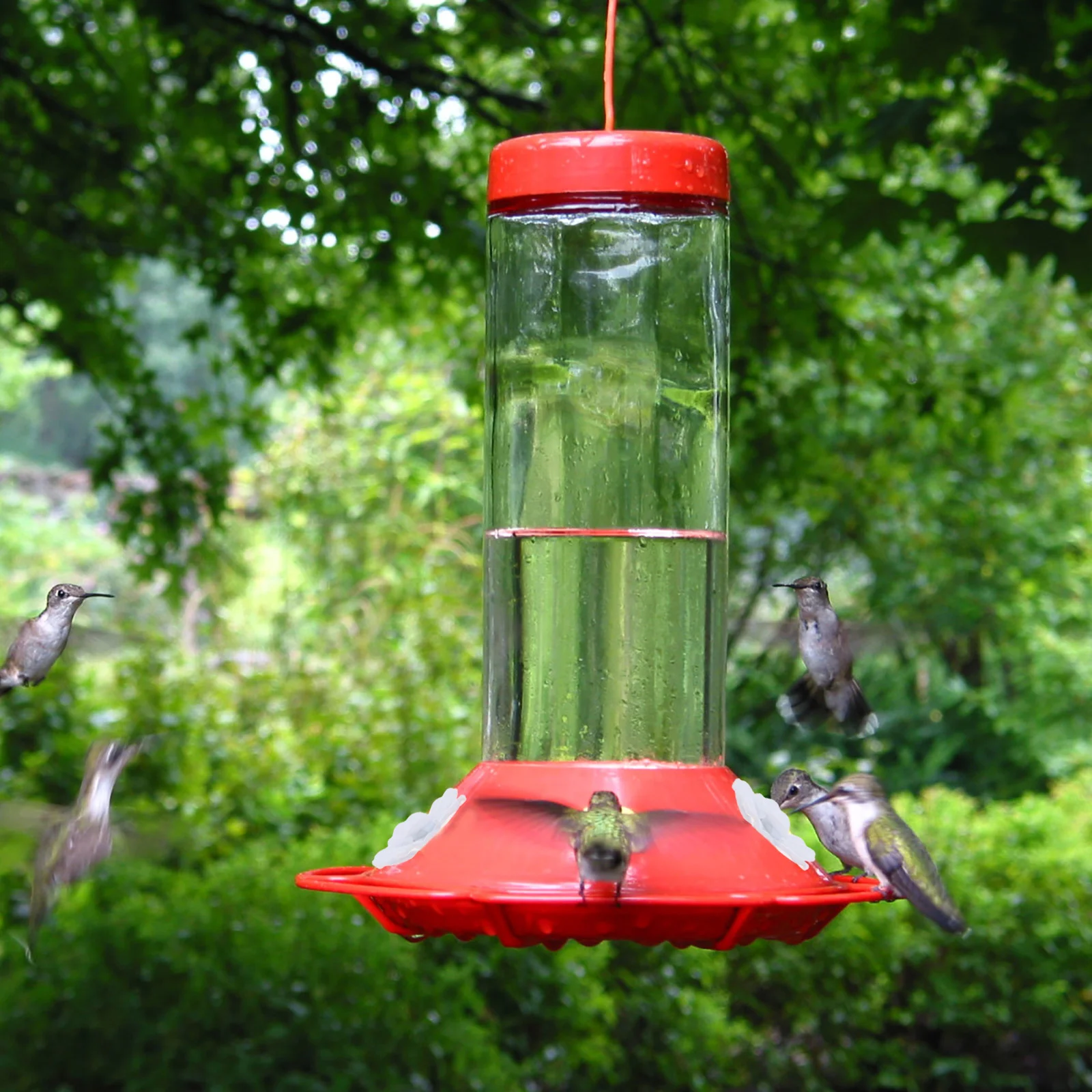 15 Pcs Hummingbird Feeding Flowers Outdoor Plastic Feeder Imitation Feeders for Outdoors Equipment Creative Lovely Heating
