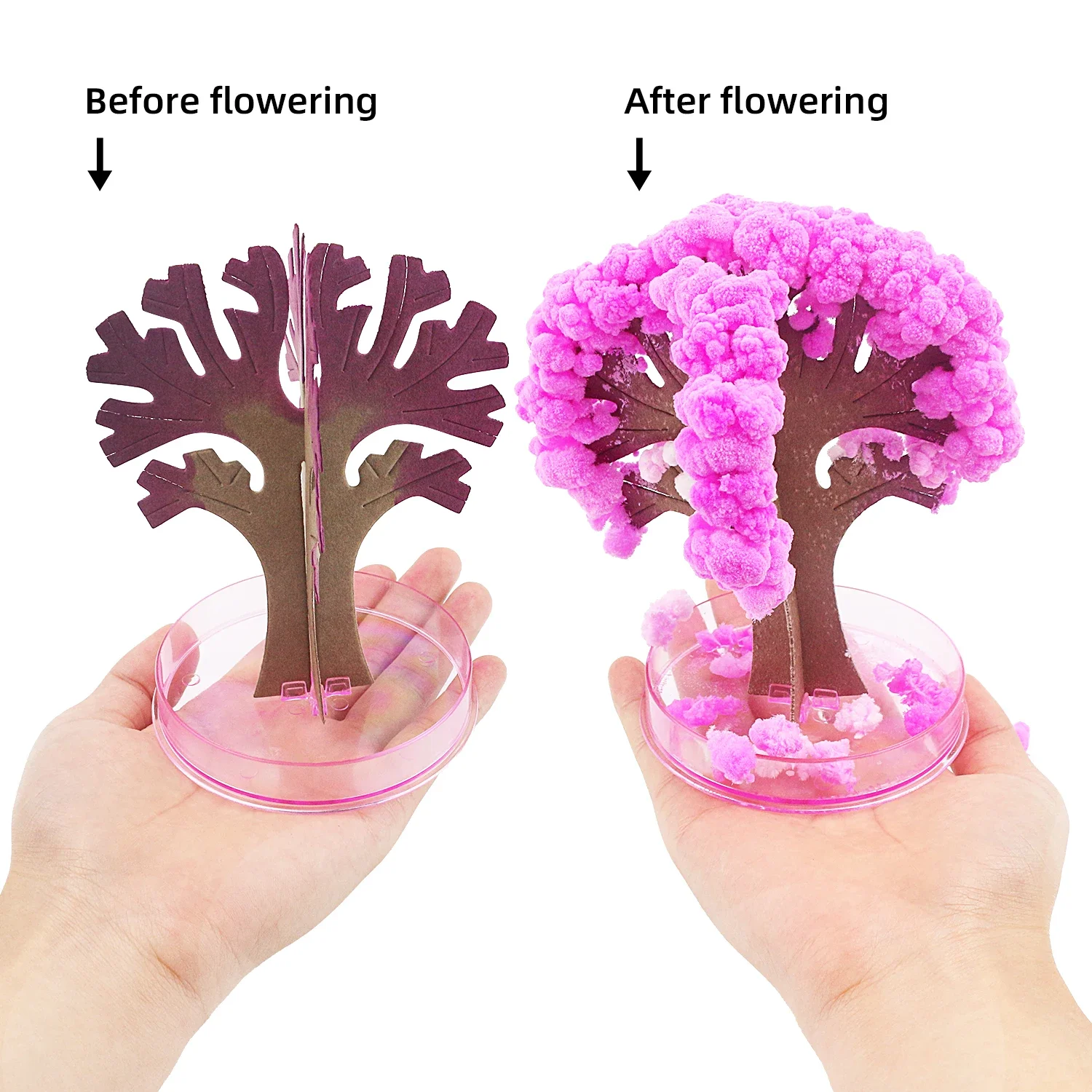 

Paper tree flowering toys, magical snowflakes blooming, glass tree watering, scientific experiments, personal care