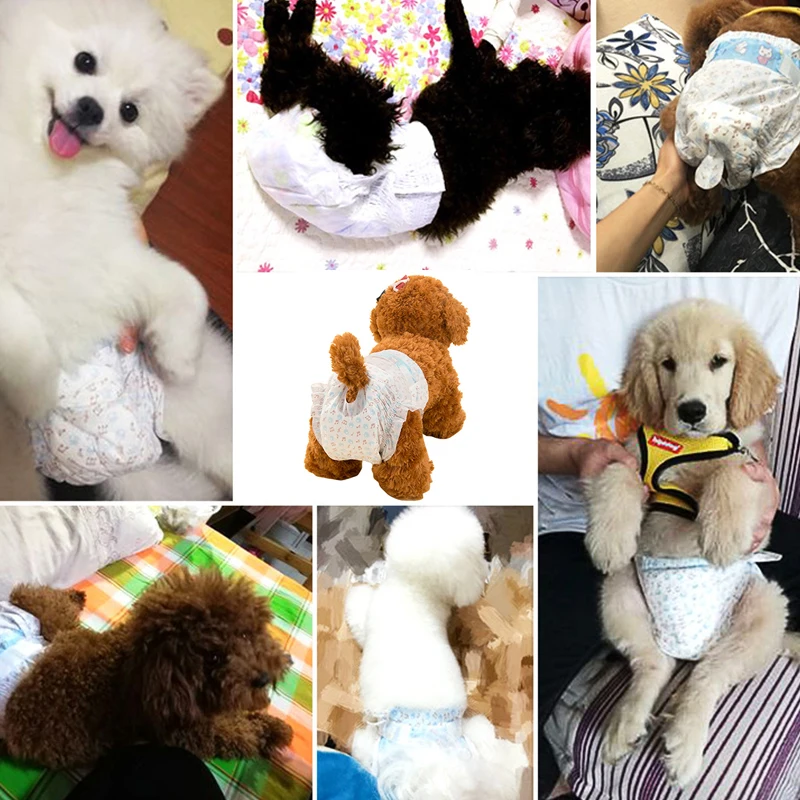 10PCS/pack Super Absorption Physiological Pants Dog Diapers For Dogs Pet Female Dog Cat Disposable Leakproof Nappies Puppy pet diapers dog diapers dog nappies
