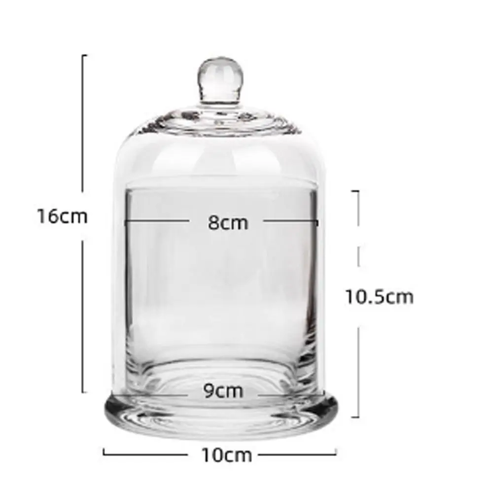Glass Glass Storage Jar 8 Colors Eternal Life Flower Aromatherapy Candle Cover Food Plant Display Candle Jar
