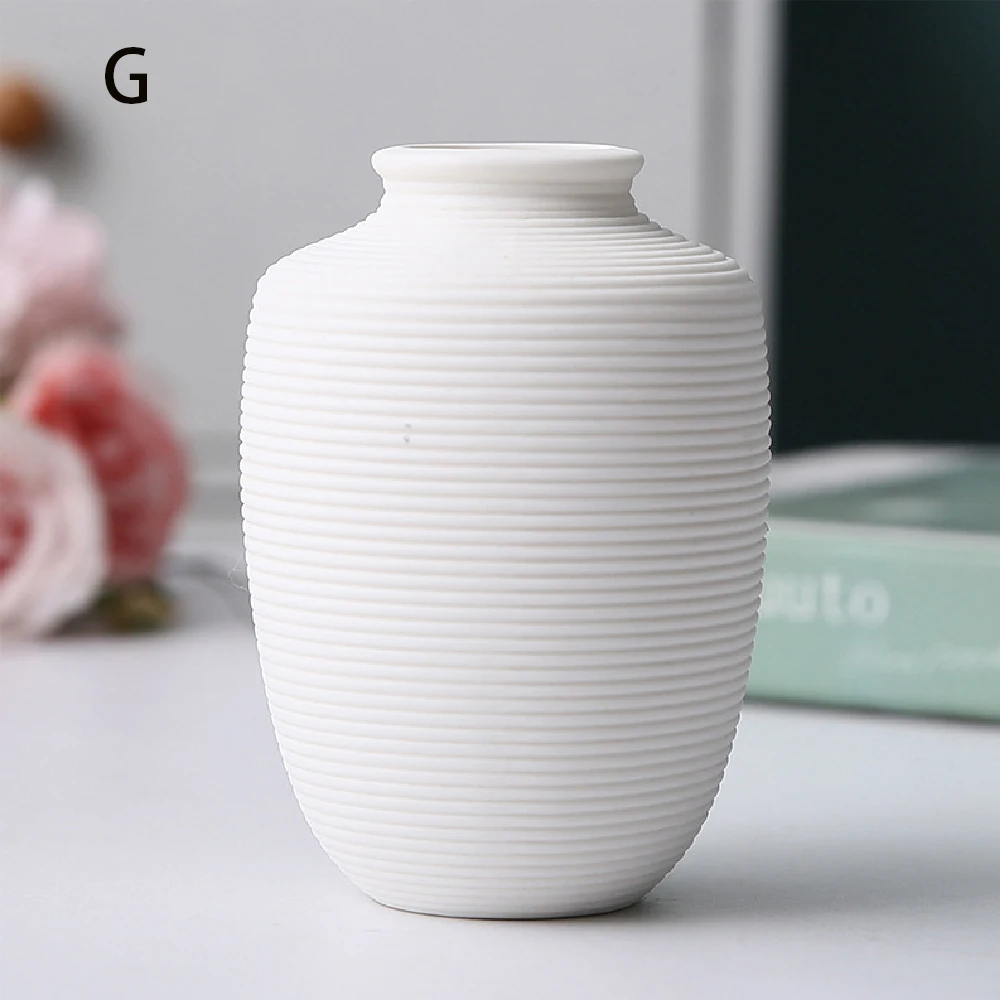 Elegant Ceramic Vases for Stylish Home Decor and Versatile Plant Display