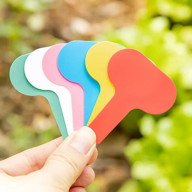 50Db Kerti Mini Címkék Növényi Osztályozás Válogatás Jel Címke Jegy Műanyag Író Lemez Tábla Dugó Card Színes Barkácsolás - Image 3