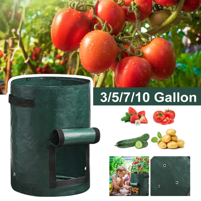 3/5/7/10 Gallon Burgonya Táska Pe Zöldség Ültetési Fogantyú Hagyma Sárgarépa Paradicsom Termesztési Edények Kerti Szerszámok