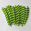 IBOUNFOX 50pcs Turkey Feather Fletching 4 Inch Right Wing Arrow Feather Parabolic Shape for Bow Accessories 3