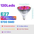 E27 Red Blue 80W