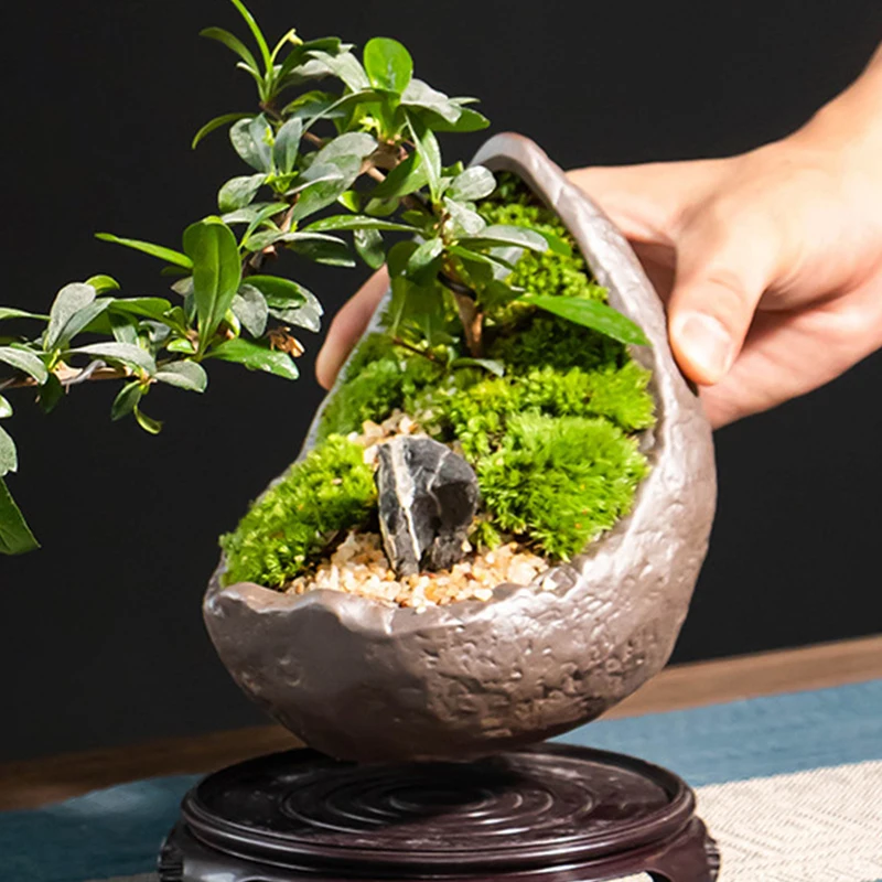 Vaso Bonsai Smaltato Tondo Cm. 26 Blu | Leroy Merlin - Foto 4