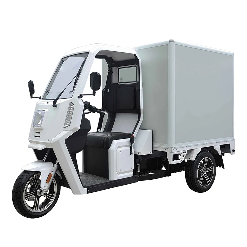 High Quality Courier Delivery Three Wheel Cargo Electric Tricycles Motorcycle Custom Logo Electro-tricycle For 3 People - Image 2