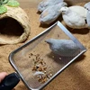 Stainless Steel Sand Metal Shovel Sifter Fine Mesh Terrarium 2