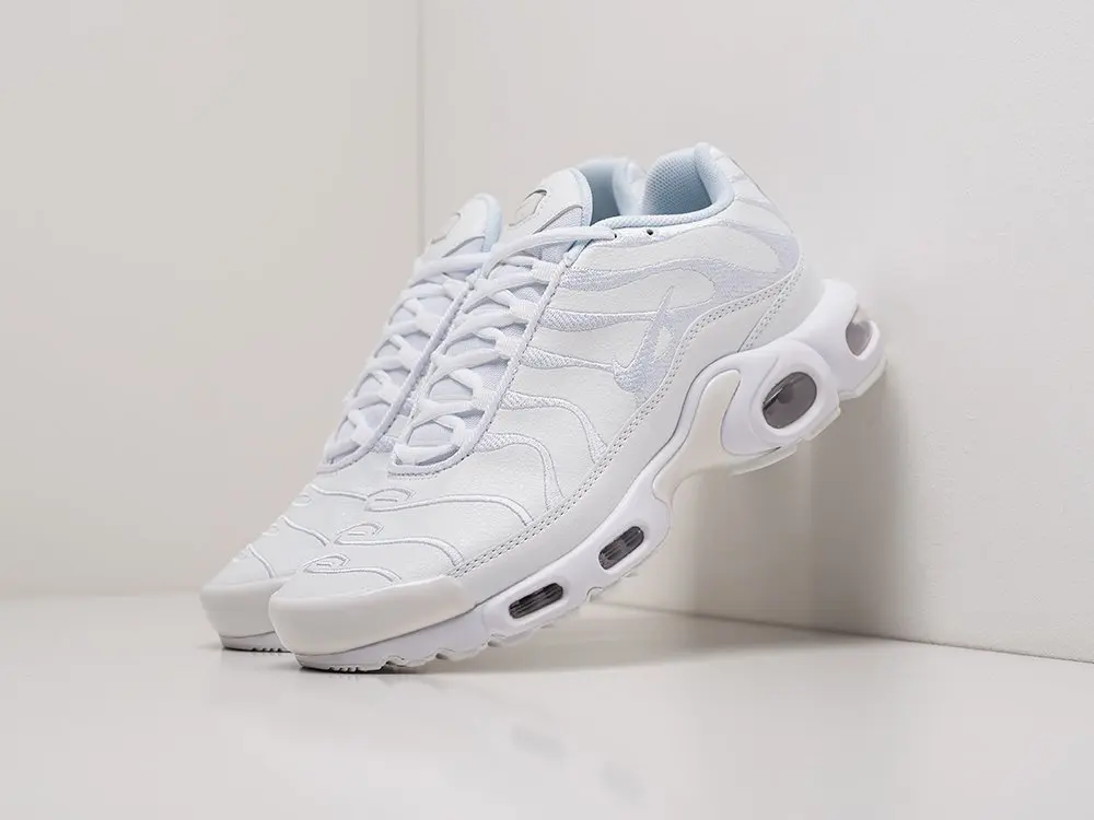 Кроссовки Nike Air Max Plus Белый Демисезон Мужской | Обувь