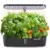 Hydroponics Growing System Kit with 12 Pods