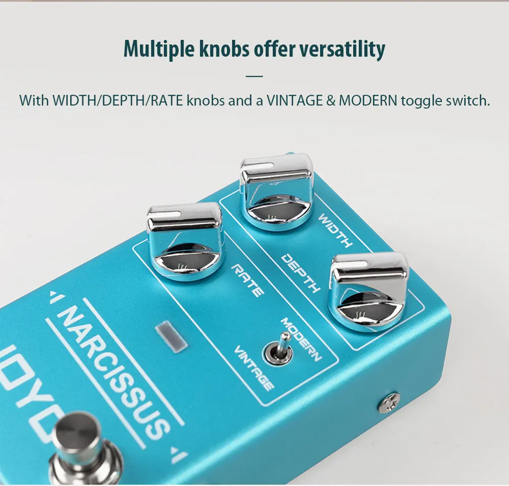 R-22 NARCISSUS CHORUS Semi-analog Chorus Guitar Effect Pedal Vintage Distortion