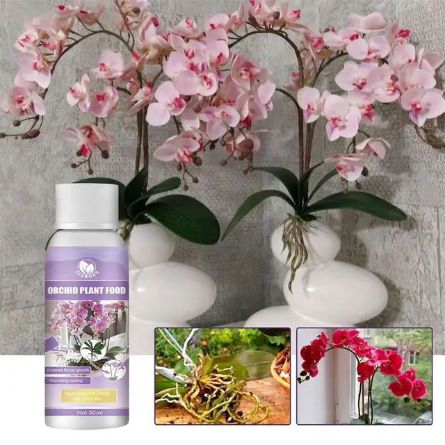 50 Ml -Es Orchidea Műtrágya Folyékony Növényi Növekedés Fokozó Kiegészítő Virágok Gyökerei Műtrágyák Elősegíti A Növekedést. - Image 4