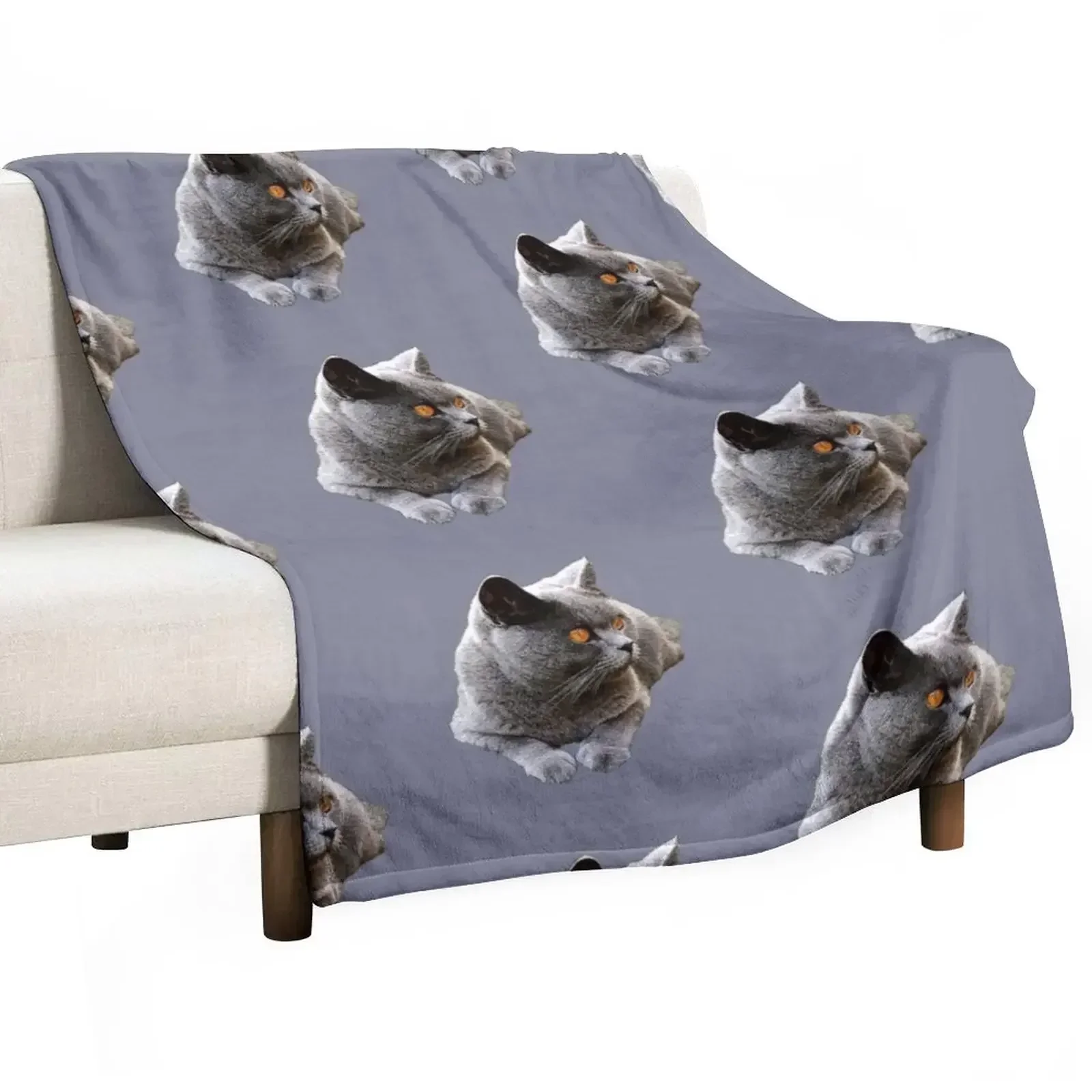 

British Shorthair Blue Cat Throw Blanket cosplay anime Personalized Gift Blankets Sofas Of Decoration Blankets