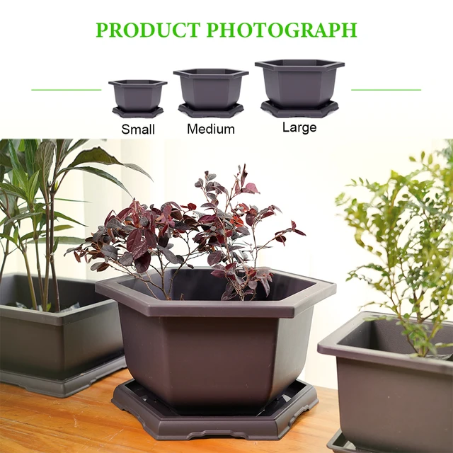 Utánzat Lila Homoktálcák Virágcserépek Korrózióálló Lélegző Négyzet És Téglalap Alakú Műanyag Virág Bonsai Növény - Image 3