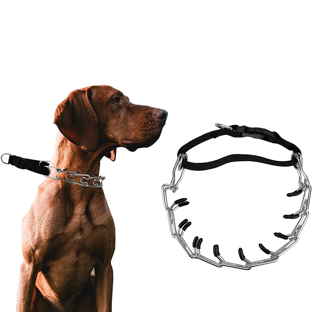 How To Use Prong Collar For Dogs Prong Collar For Small Dogs Dog