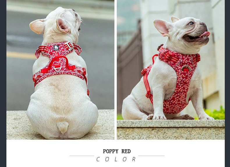 Harnais fleuri collection Truelove - Ajustable et rembourré - Résistant et confortable - Design élégant pour chiens et chats - CASPER&CO