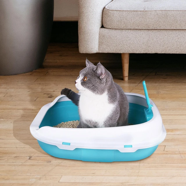Litter Box Locations For Apartments And Small Spaces, 56 OFF