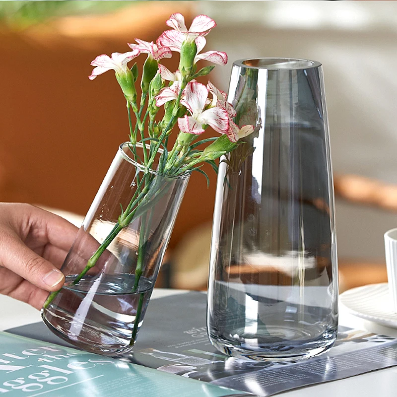 Nordic Bubble Glass Vase Home Decoration Desktop Flower Hydroponic Plant 