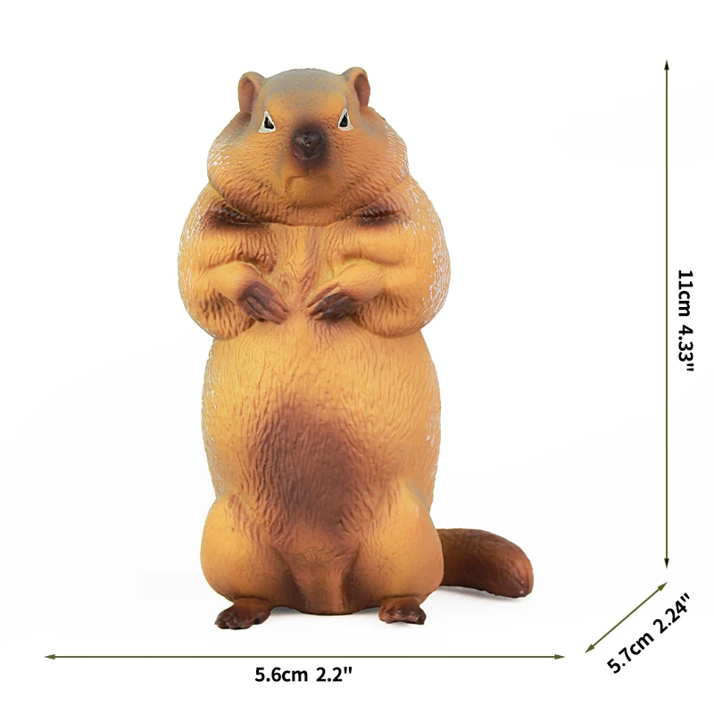 Marmot