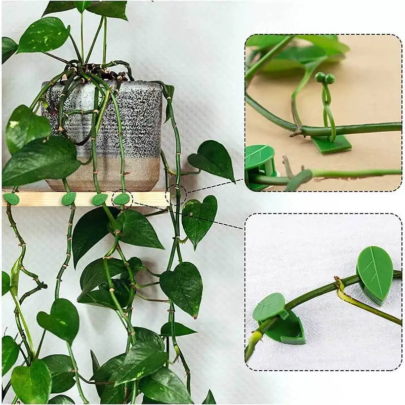 Plant Climbing Wall Self-Adhesive Fixed Buckle Hook Fastener Tied Fixture Vine Buckle Hook Garden Plant Wall Climbing Vine Clips plant clips,plastic plant clips