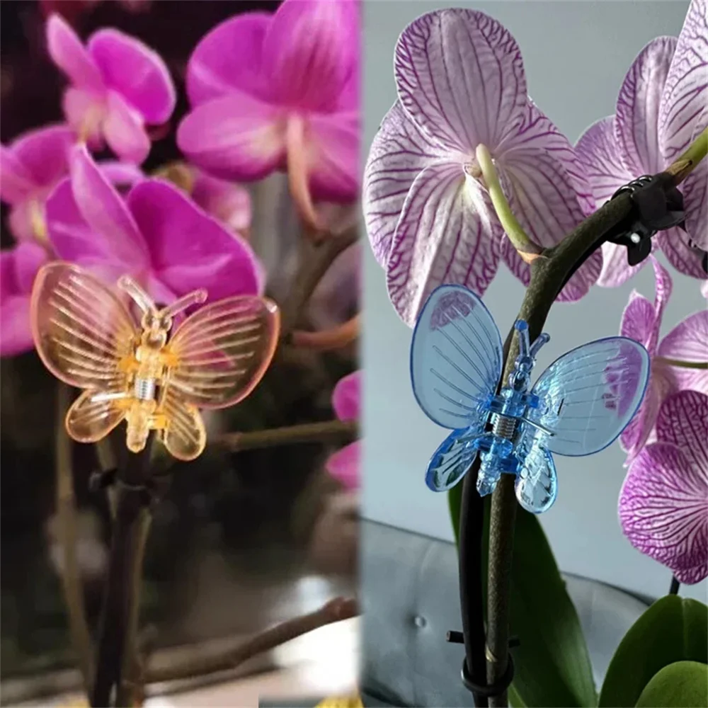 30 Clip A Libellula Per Orchidee E Piante - Supporto Per Steli - Multicolore