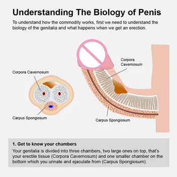 Electric Vacuum Pump Penis Enlargement Pump Male Bigger Enhancement Sleeve Extender Penis Pump Sexual Toy Adult Sex Tool for Man 5