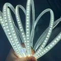 White Light 6000K