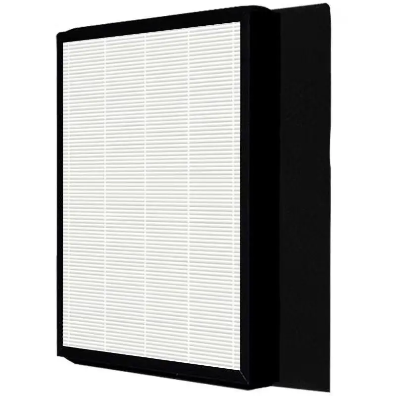Rowenta PU2120 Replacement HEPA Carbon Filter Set